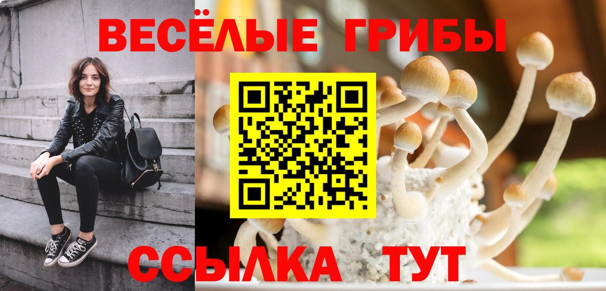 как найти закладки  Галлюциногенные грибы Psilocybine cubensis  Вход с VPN  Арзамас 
