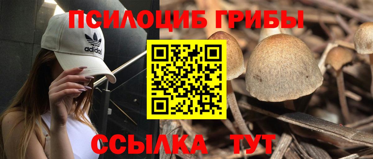 Псилоцибиновые грибы MAGIC MUSHROOMS Арзамас